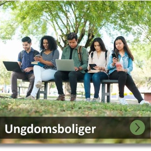 Ungdomsboliger